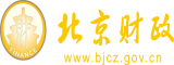 插BB视频网址北京市财政局