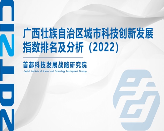 免费黄色观看想要了啊啊【成果发布】广西壮族自治区城市科技创新发展指数排名及分析（2022）